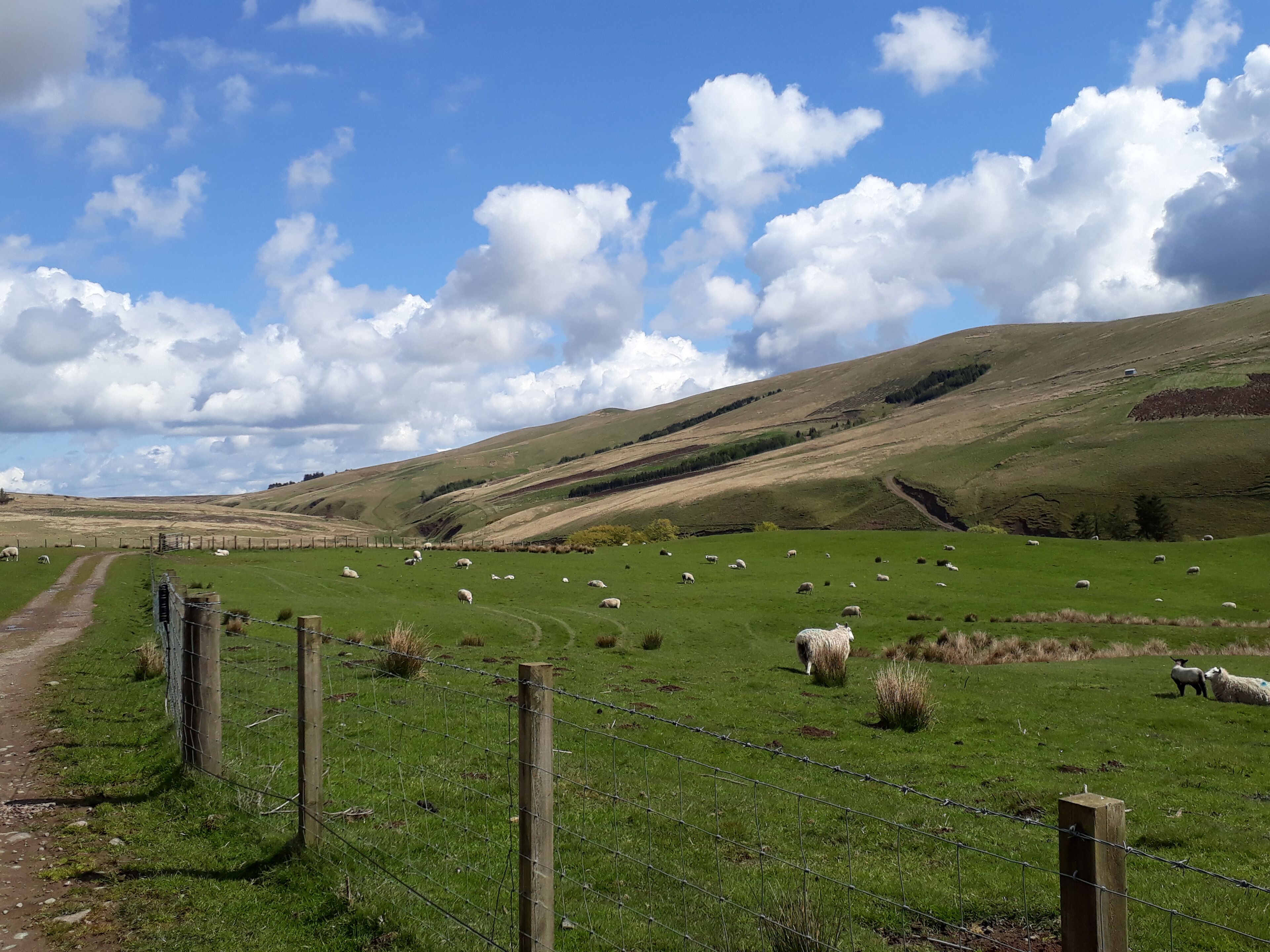 Towering cloudy skyscapes and diagonal yellowed hills on the road to the reservoir....