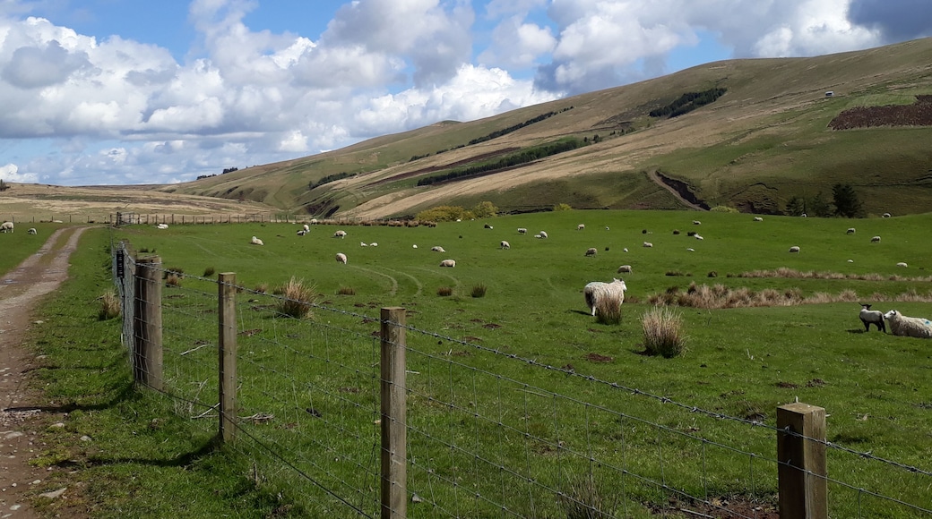 Towering cloudy skyscapes and diagonal yellowed hills on the road to the reservoir....