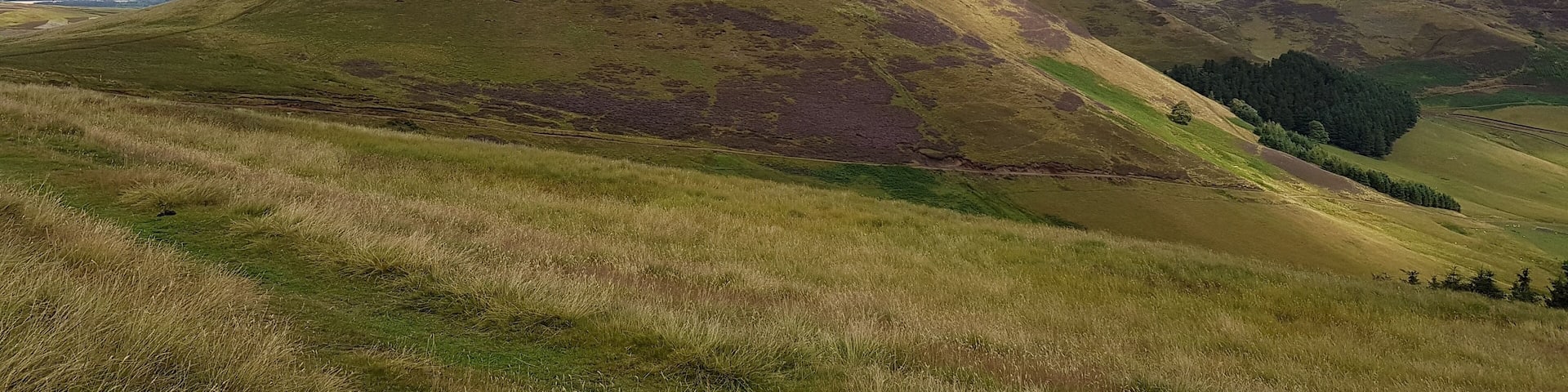 Rolling hills with a clear sky and distant mountains.
