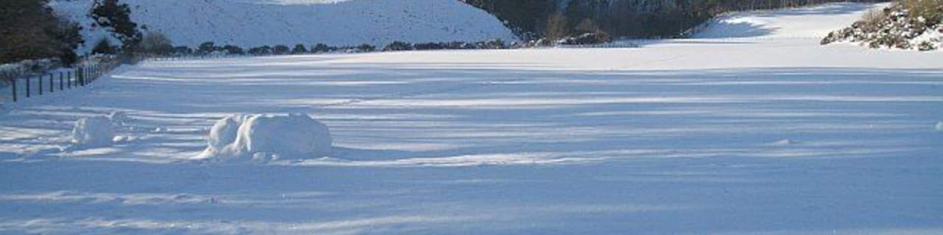 Un campo cubierto de nieve, con un muñeco de nieve y una montaña al fondo.