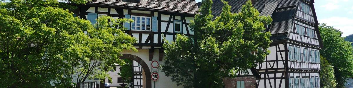 A traditional half-timbered house with a stone roof, surrounded by lush greenery and a clear sky.