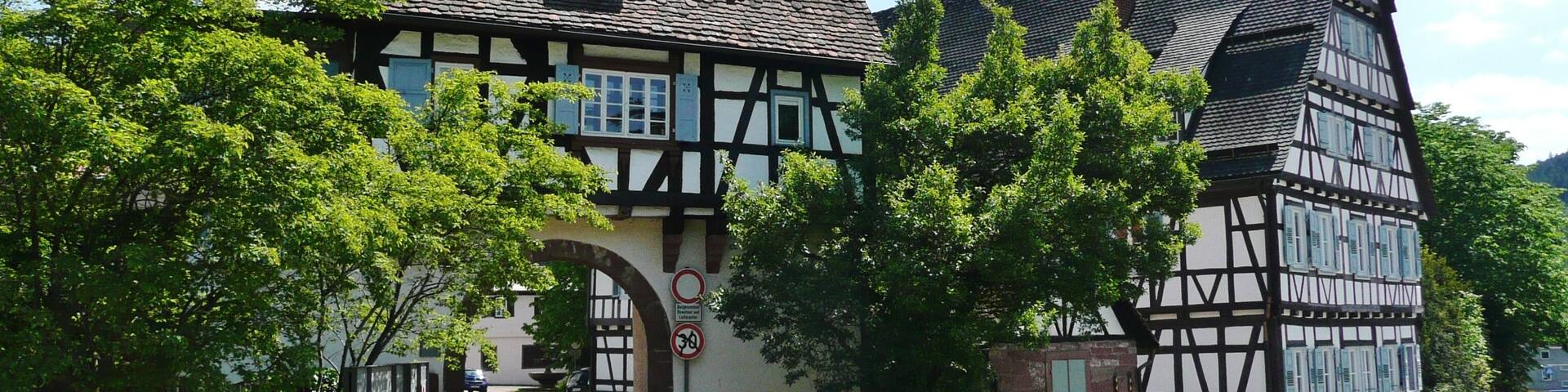 A traditional half-timbered house with a stone roof, surrounded by lush greenery and a clear sky.