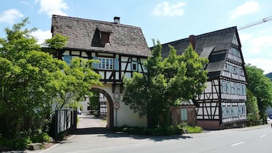 A traditional half-timbered house with a stone roof, surrounded by lush greenery and a clear sky.