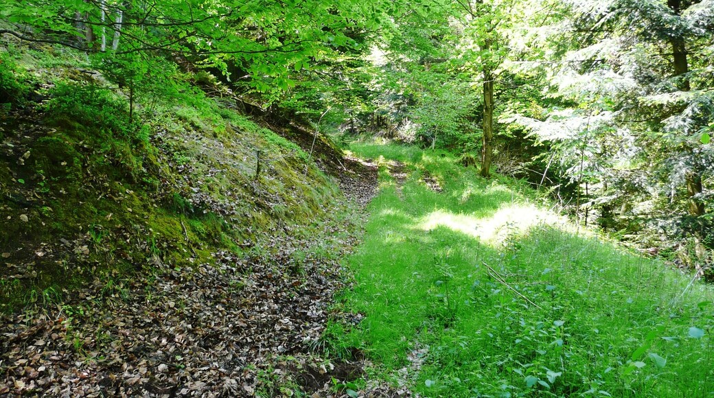Wanderweg zwischen Altburg und Hirsau