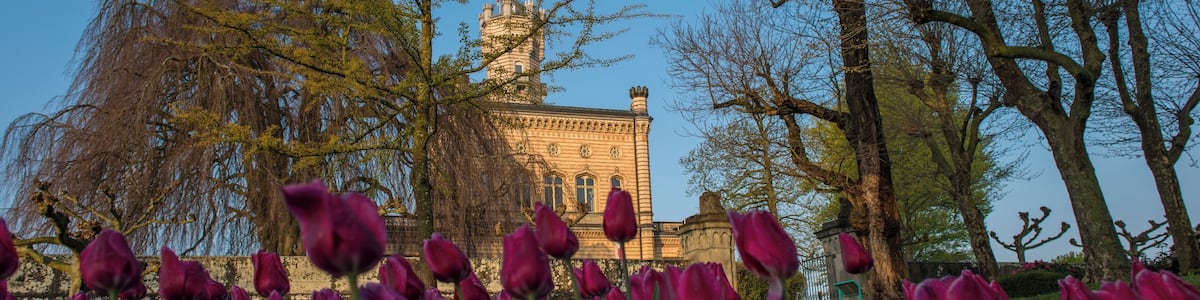 Das Schloss Montfort am Bodensee ist das Wahrzeichen der Gemeinde Langenargen. Einst unter dem Namen Villa Argena geplant, sollte es König Wilhelm I. von Württemberg als Lustschloss dienen. Es entstand auf einer Landzunge am Platz der Ruine der Burg Argen.