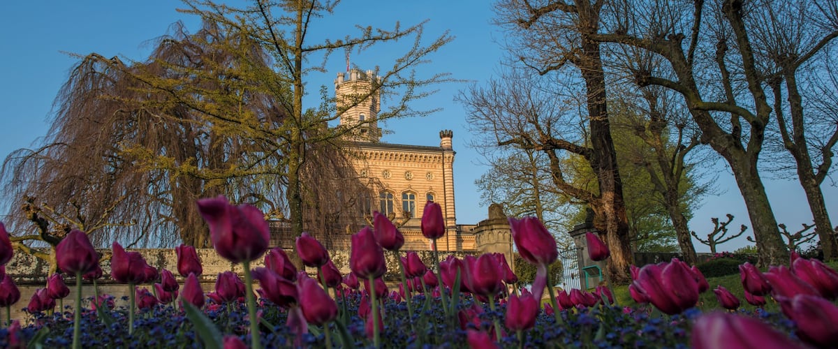 Das Schloss Montfort am Bodensee ist das Wahrzeichen der Gemeinde Langenargen. Einst unter dem Namen Villa Argena geplant, sollte es König Wilhelm I. von Württemberg als Lustschloss dienen. Es entstand auf einer Landzunge am Platz der Ruine der Burg Argen.