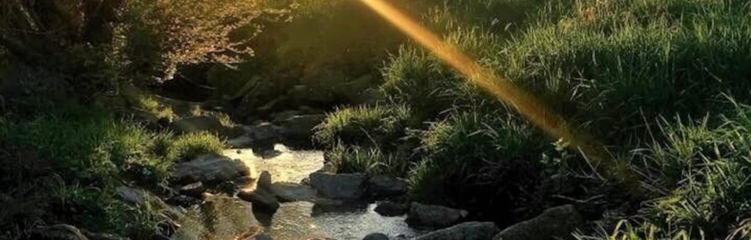 Das Schöne liegt oft genau vor der Haustür... der Rinderbach ist ein Nebenfluss der Ruhr und entspringt direkt in meiner Heimat Velbert. Hier gibt es viele schöne Wanderwege durch das Bergische Land.