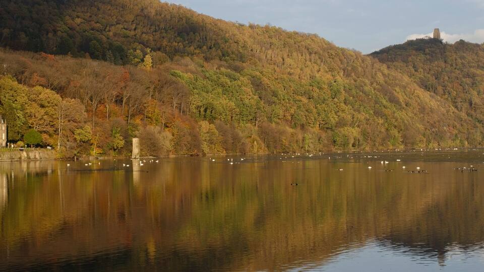 A calm river reflecting trees and a castle on a hill.