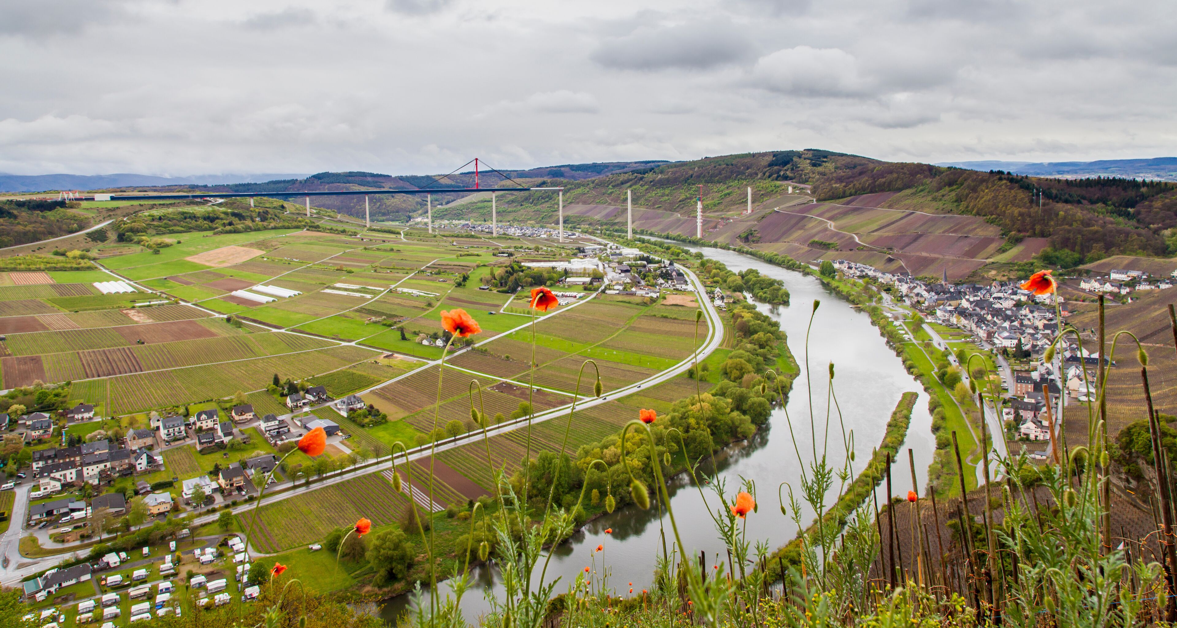 Mosel  Weinlandschaft  mit Blick auf  Hochmoselbrücke Rheinland-Pfalz Deutschland Weinanbaugebiet 

