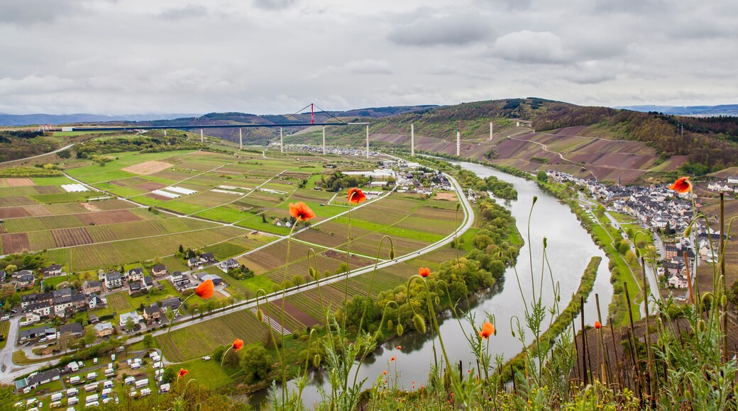 Mosel Weinlandschaft mit Blick auf Hochmoselbrücke Rheinland-Pfalz Deutschland Weinanbaugebiet