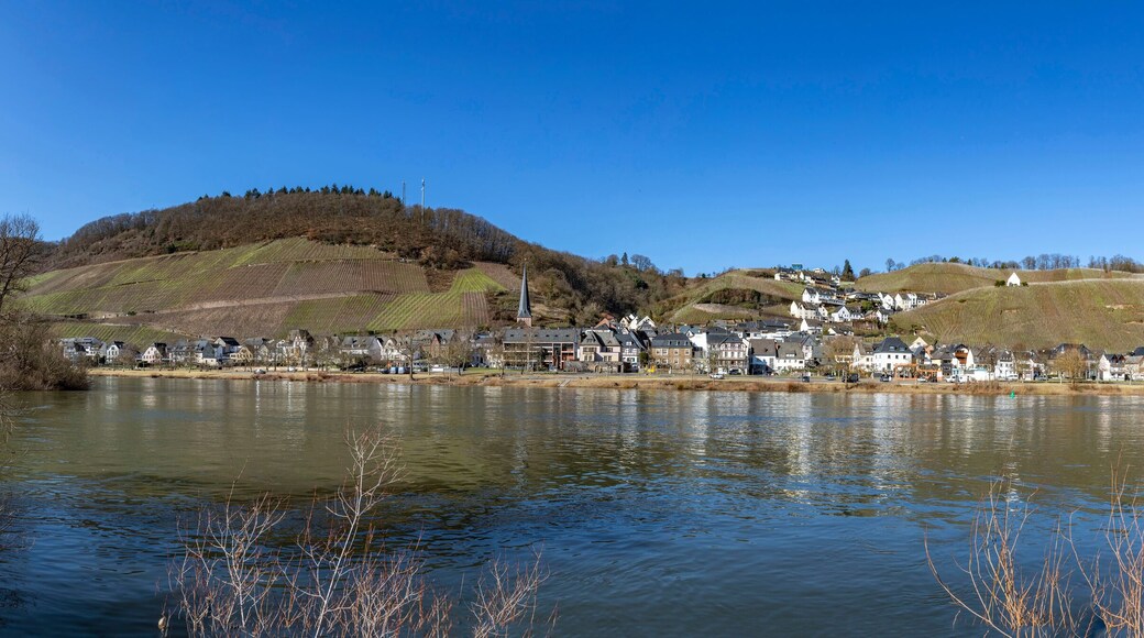 Mosel valley panorama near Rachtig with view to village of Uerzig in bright morning light