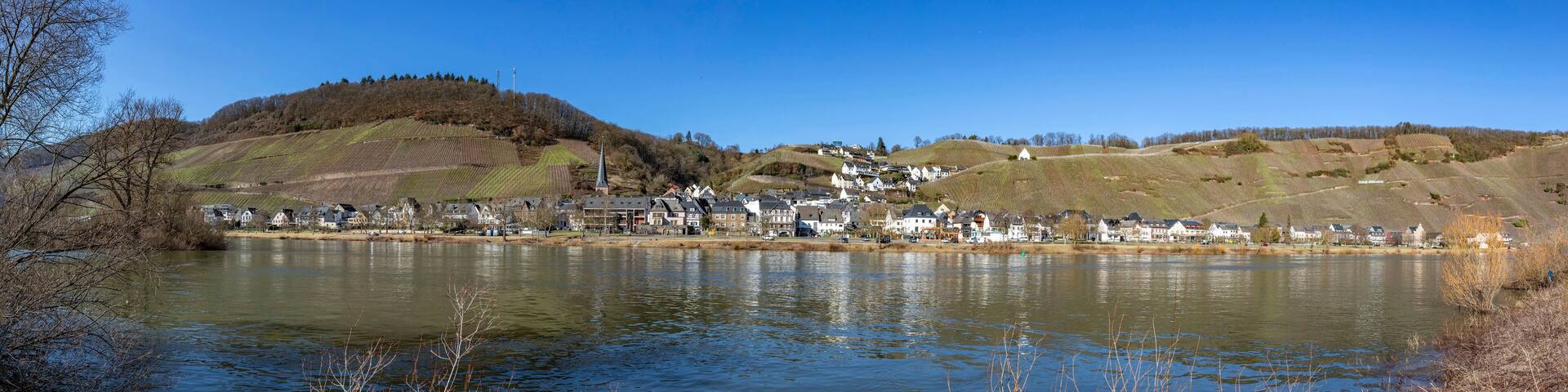 Mosel valley panorama near Rachtig with view to village of Uerzig in bright morning light