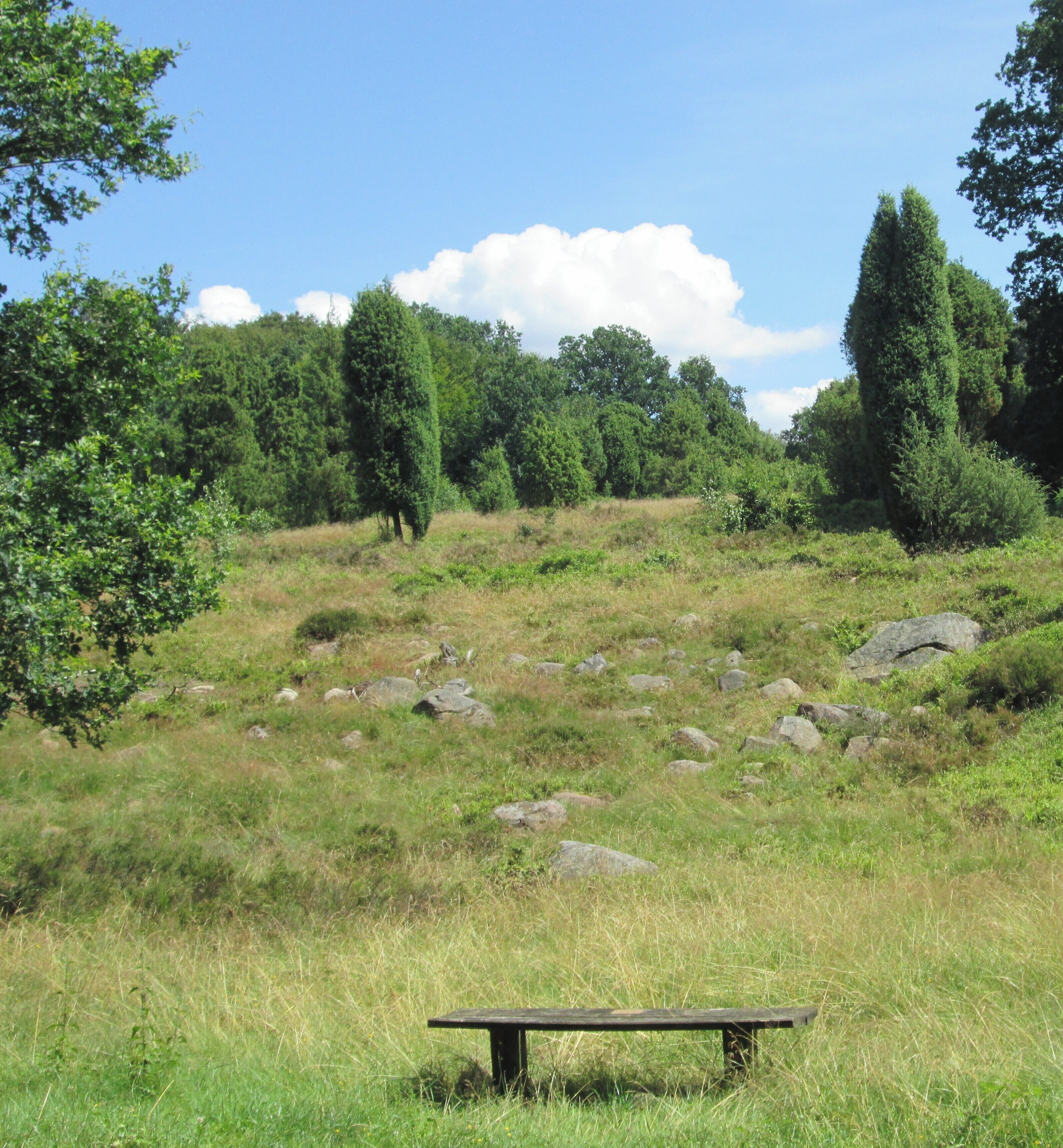 Spaziergang im Naturpark Lüneburger Heide