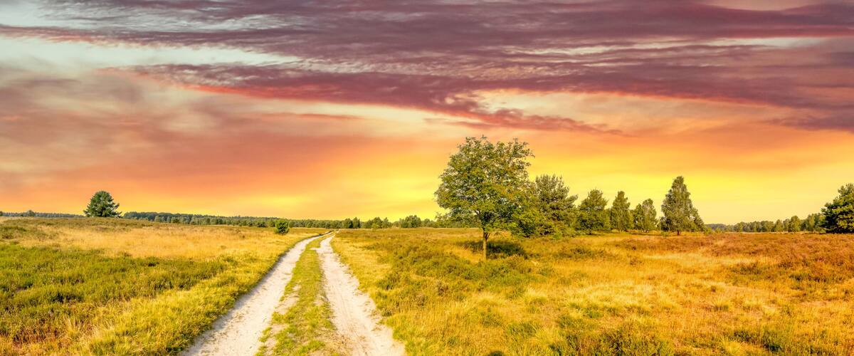 A dirt path leading through a grassy field with trees and a sunset in the background.