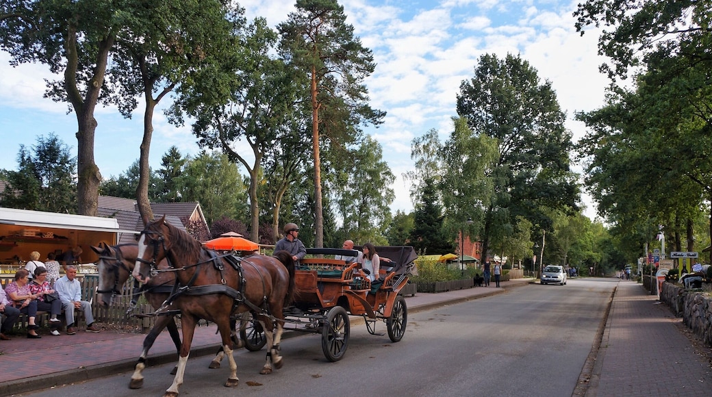 Undeloh - Lüneburger Heide — Germany