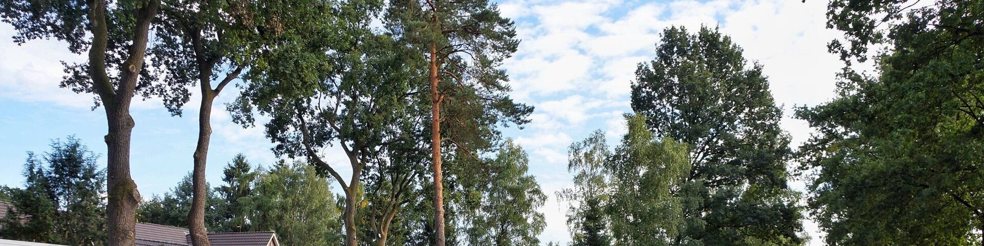 Undeloh - LĂŒneburger Heide â Germany