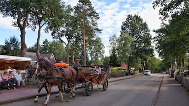 Undeloh - Lüneburger Heide — Germany