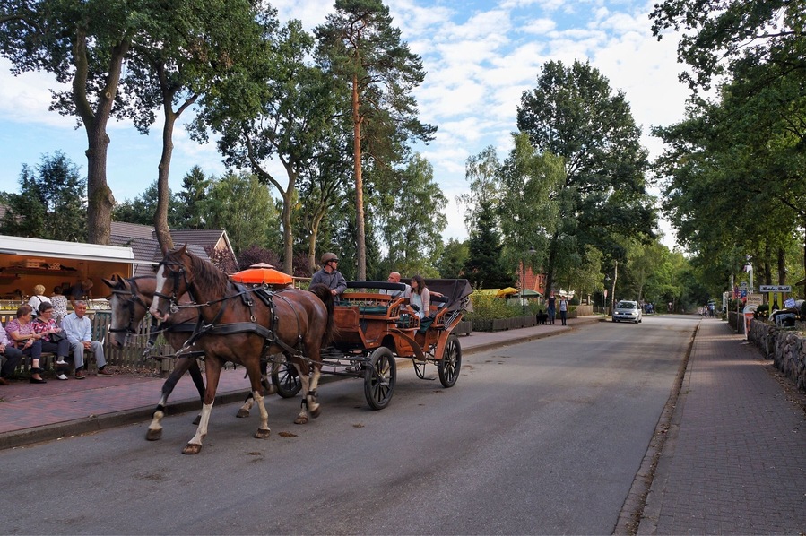 Undeloh - Lüneburger Heide — Germany
