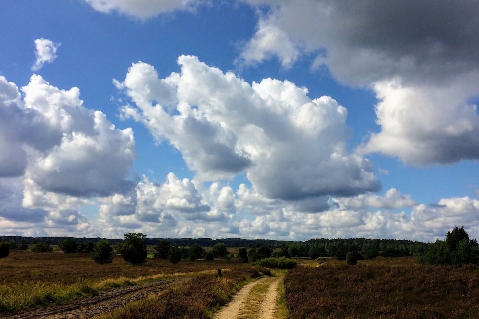 A dirt path through a field with a cloudy sky.