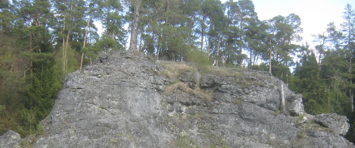 A large rock formation with a grassy foreground and a forest in the background.