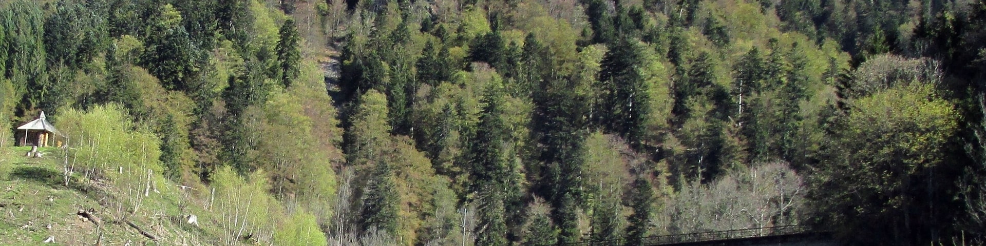 Höllenbahn Viaduckt - Ravenna Schlucht - Breitnau Schwarzwald