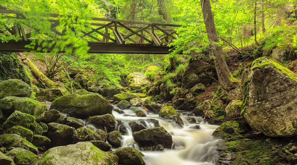 Ravenna Gorge along Ravenna River, Breitnau, Hollental Valley, Black Forest, Baden-Wurttemberg, Germany