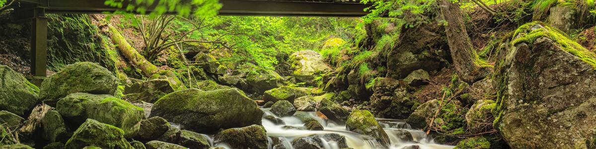 A wooden bridge over a stream with moss-covered rocks and lush greenery.