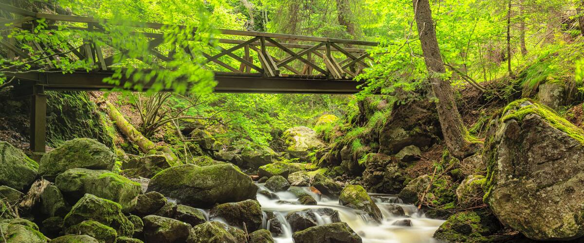 Ravenna Gorge along Ravenna River, Breitnau, Hollental Valley, Black Forest, Baden-Wurttemberg, Germany
