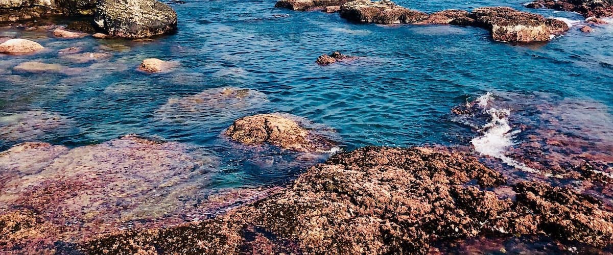 #blue #green #ocean