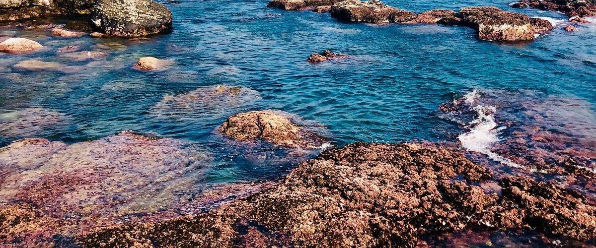 A rocky coastline with clear blue waters and scattered rocks.