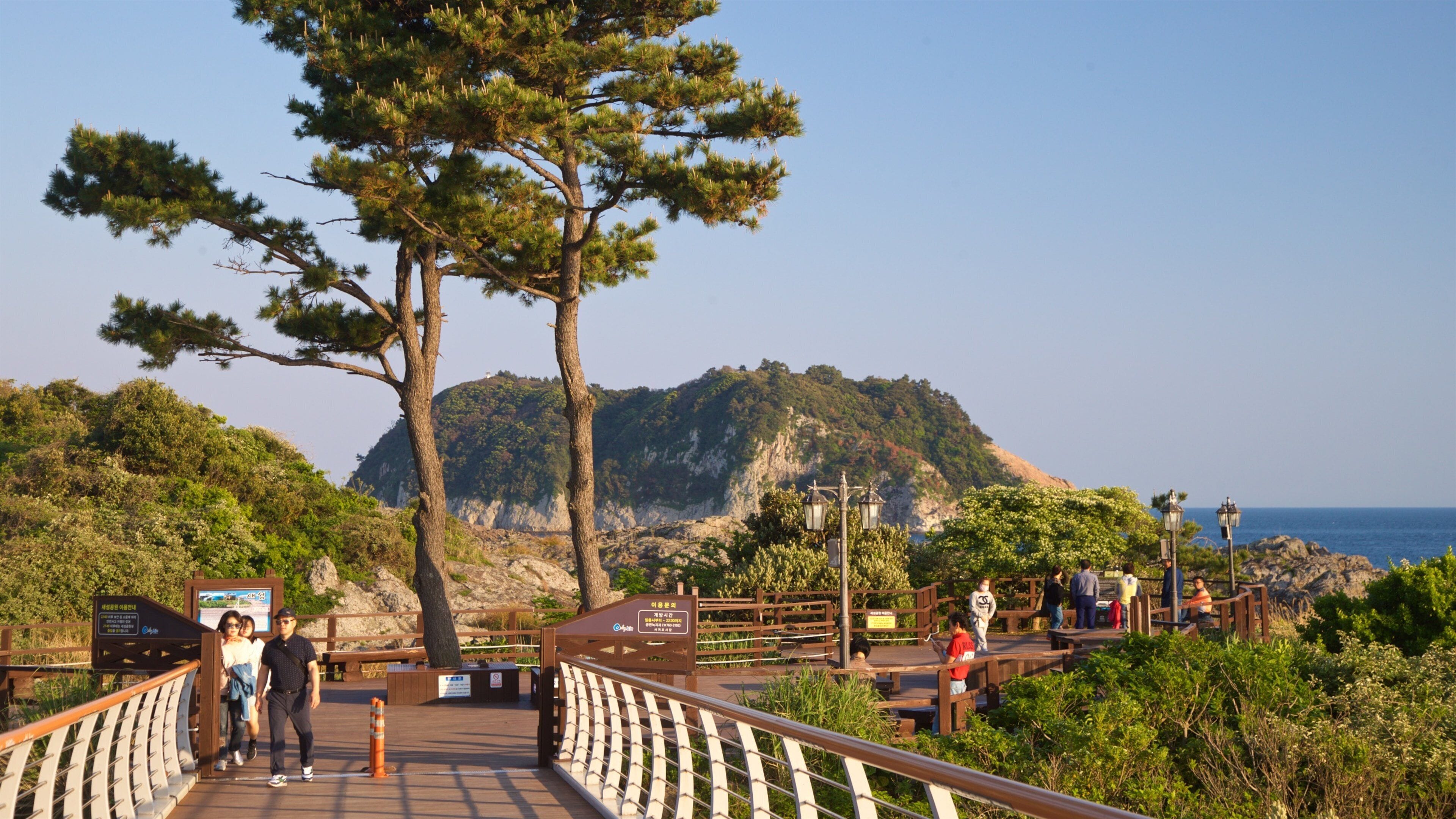 Seogwipo showing a bridge and general coastal views