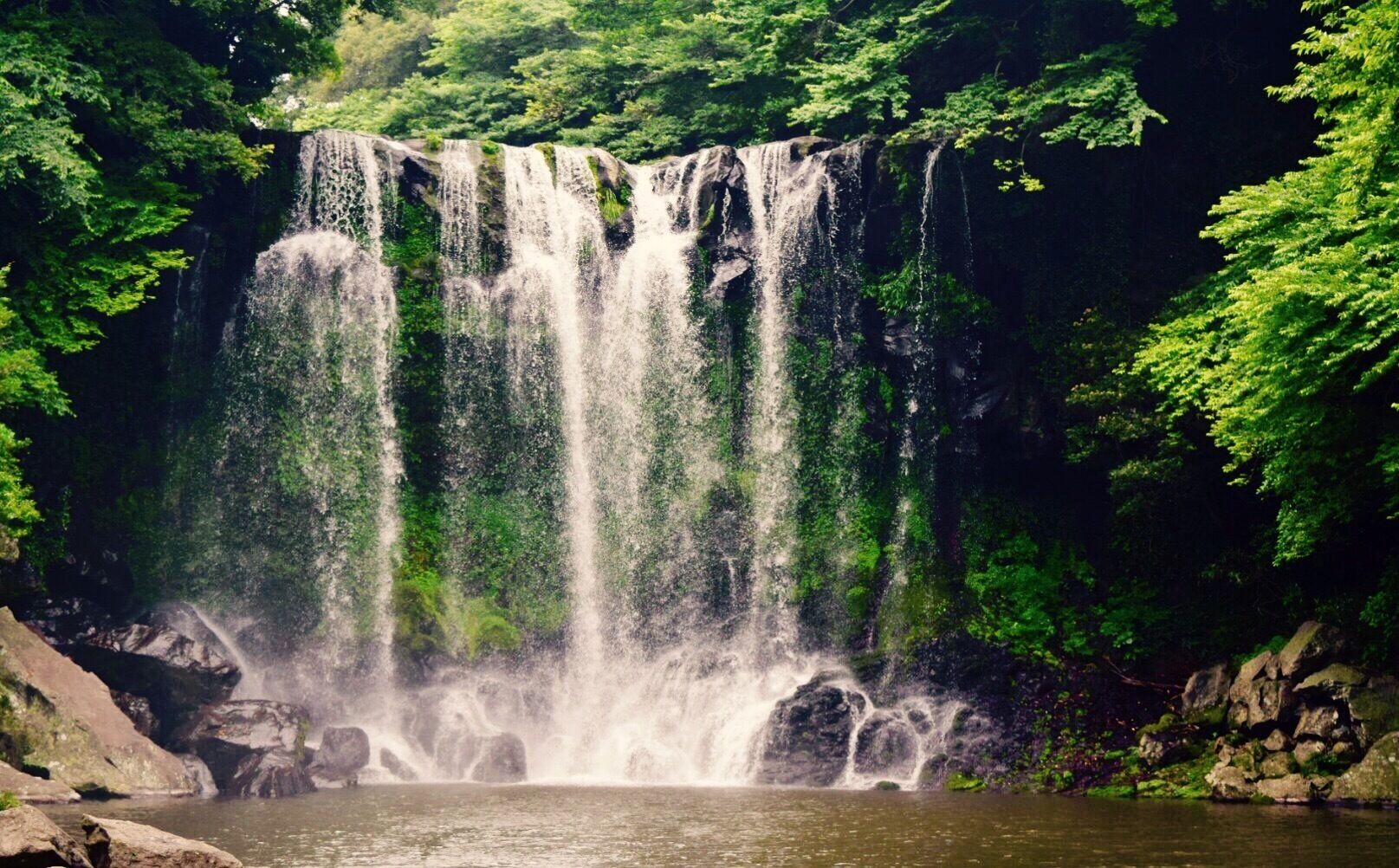This is cascade.
"Chuncheyun"