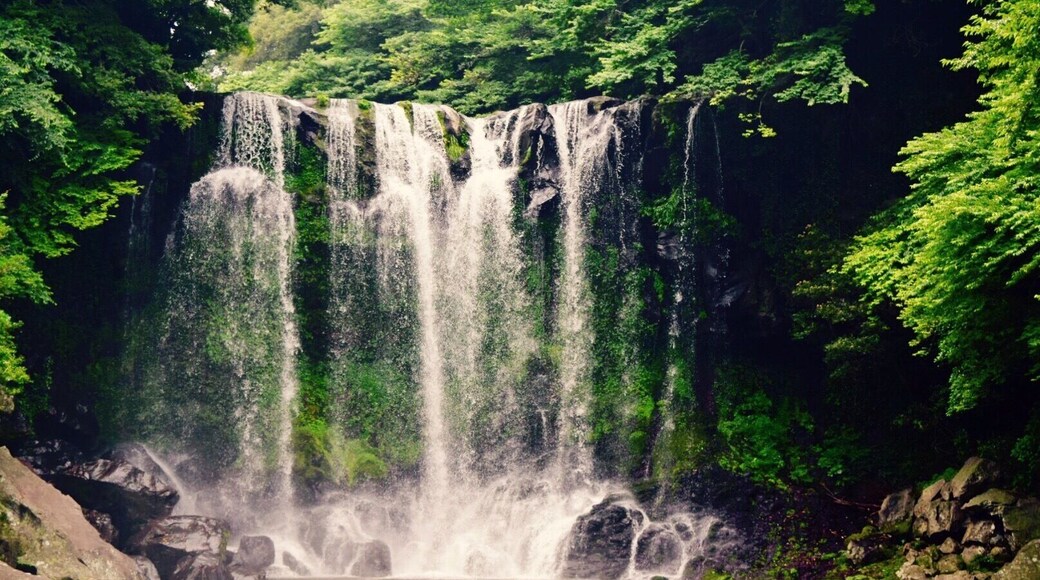 This is cascade.
"Chuncheyun"