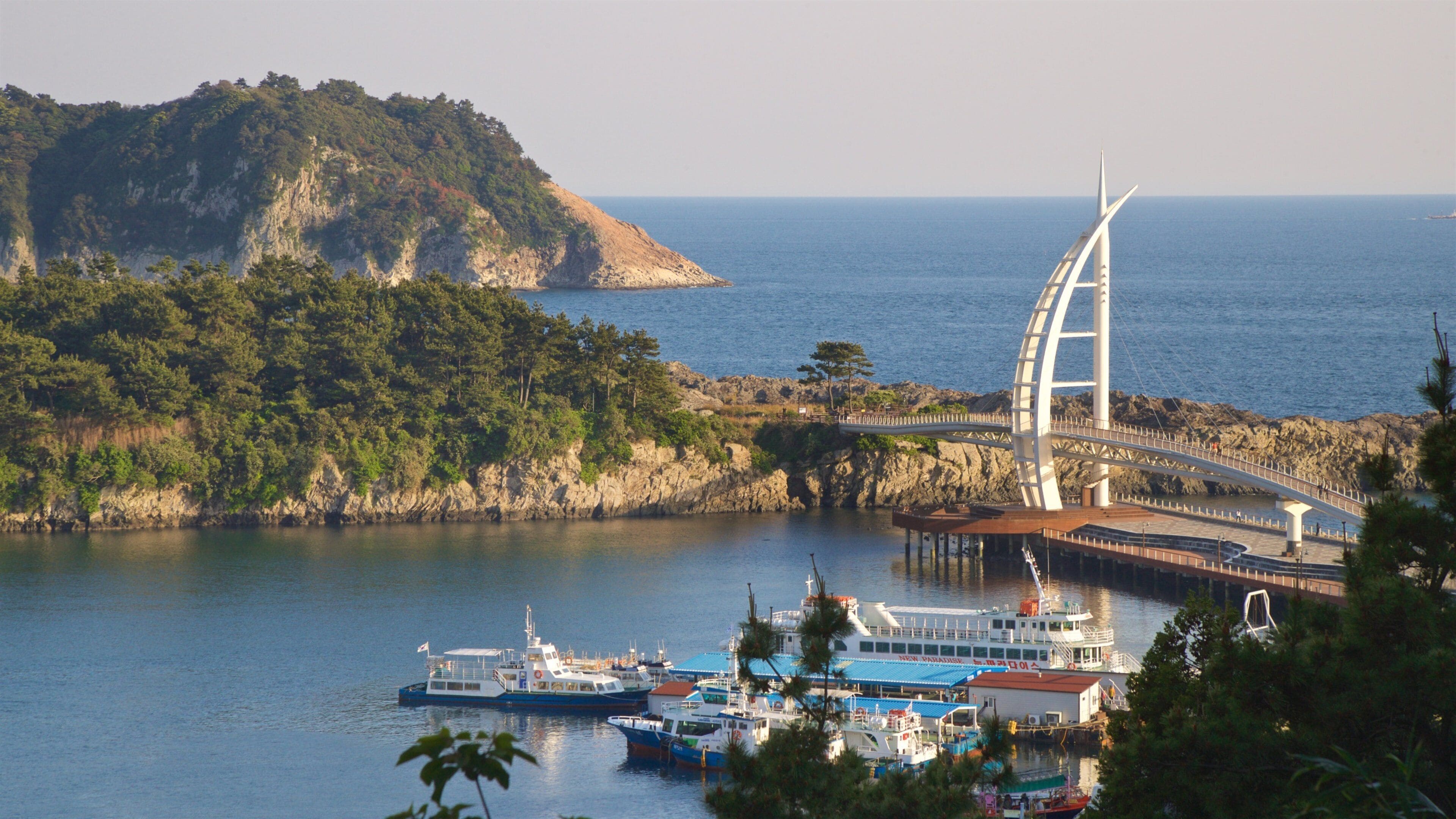 Seogwipo featuring a bridge, general coastal views and rocky coastline