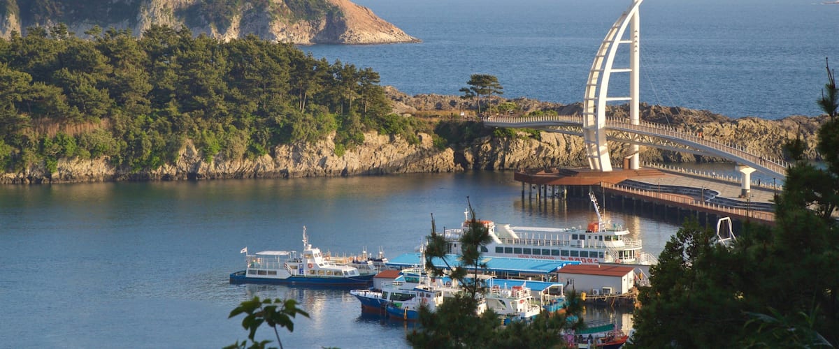 Seogwipo featuring a bridge, general coastal views and rocky coastline