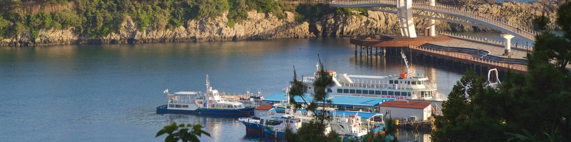 Seogwipo featuring a bridge, general coastal views and rocky coastline