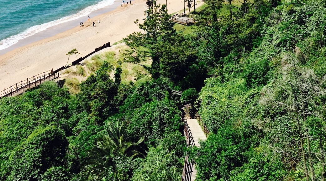 Jungmun beach in Seogwipo - a very nice beach on the island.