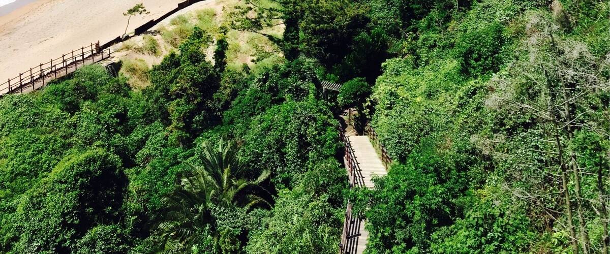 Jungmun beach in Seogwipo - a very nice beach on the island.