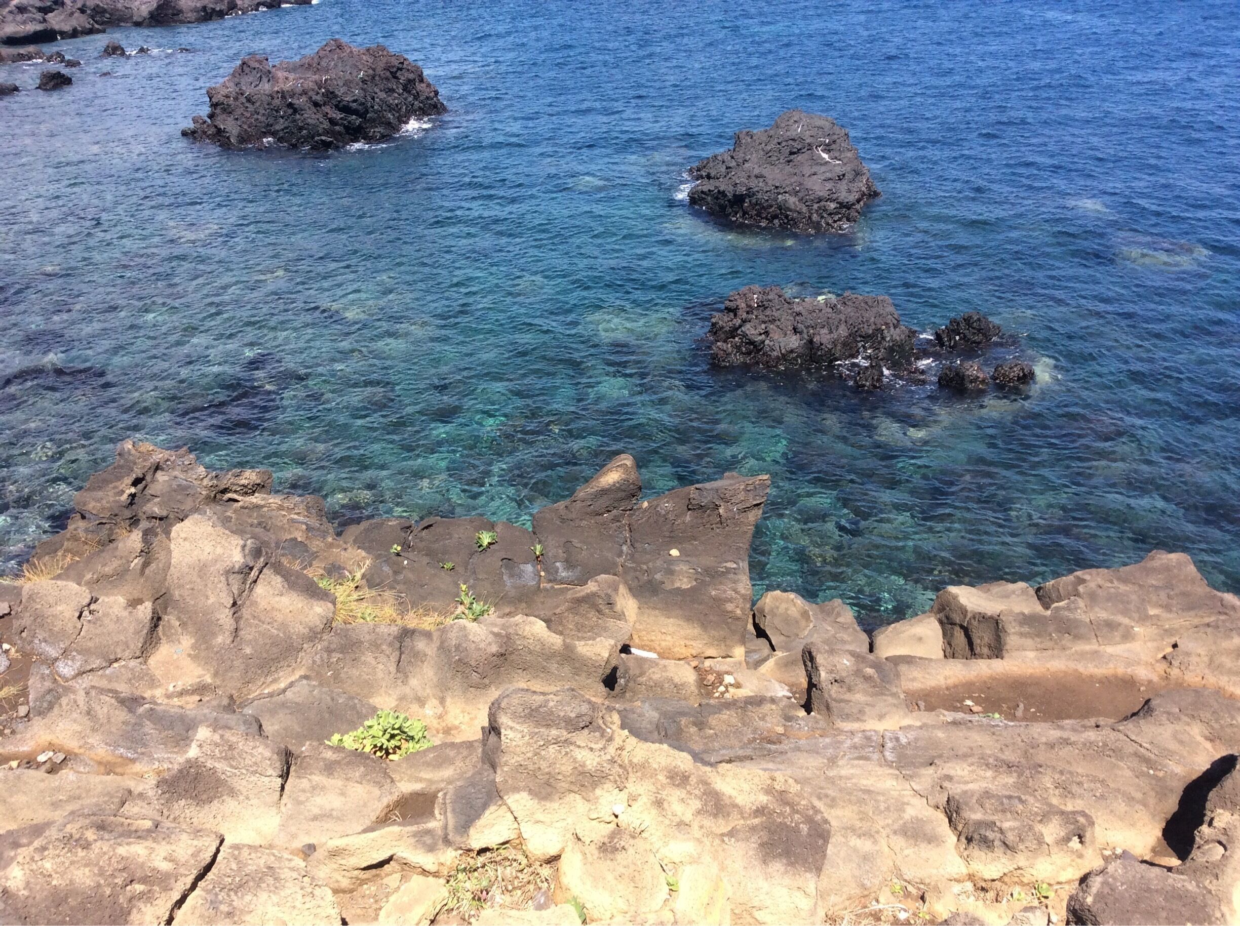 Jeju Island, South Korea, has the clearest, bluest water I've seen anywhere - maybe the Mediterranean comes close. The island is covered by two dozen walking trails (really, most are around 15 km and more leisurely walk than hike). Please skip the resorts and cheesy museum and go explore this magical island of foot! This is near the beginning of olle walking route 7 (Soesokkak), a $6 taxi ride from Seogwipo City, where you'll walk back to from there :)