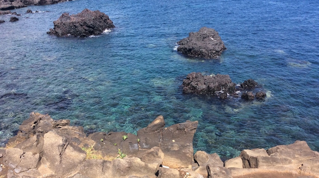 Jeju Island, South Korea, has the clearest, bluest water I've seen anywhere - maybe the Mediterranean comes close. The island is covered by two dozen walking trails (really, most are around 15 km and more leisurely walk than hike). Please skip the resorts and cheesy museum and go explore this magical island of foot! This is near the beginning of olle walking route 7 (Soesokkak), a $6 taxi ride from Seogwipo City, where you'll walk back to from there :)
