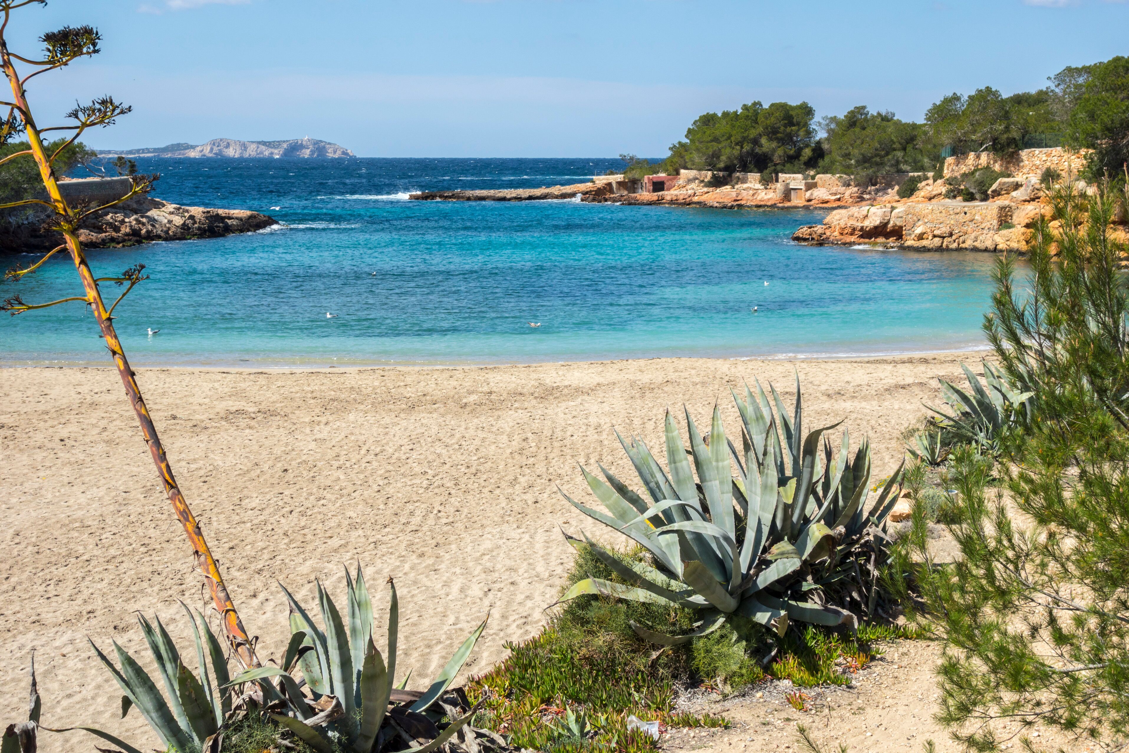 Mediterranean beach, Cala Gracio, town of Sant Antoni, Ibiza island,Spain.