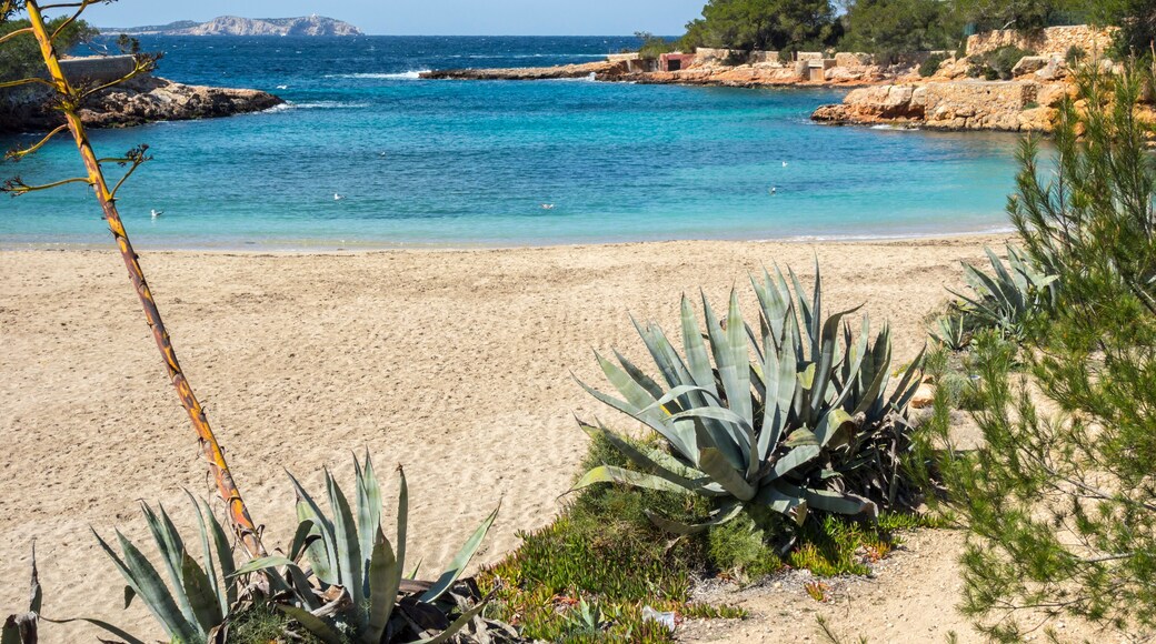 Mediterranean beach, Cala Gracio, town of Sant Antoni, Ibiza island,Spain.