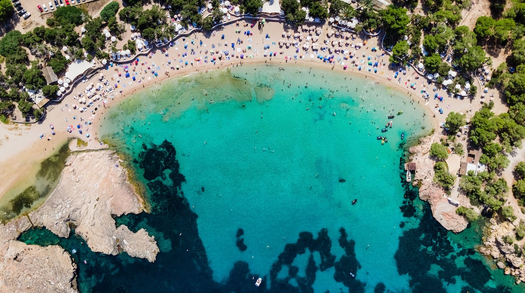 Eine Vogelperspektive zeigt einen Strand mit klarem türkisblauem Wasser, einer felsigen Küstenlinie und einer Reihe von Sonnenschirmen und Liegestühlen am Ufer.