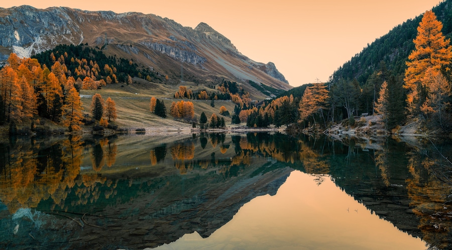 Ein stiller See spiegelt Bäume und Berge wider.