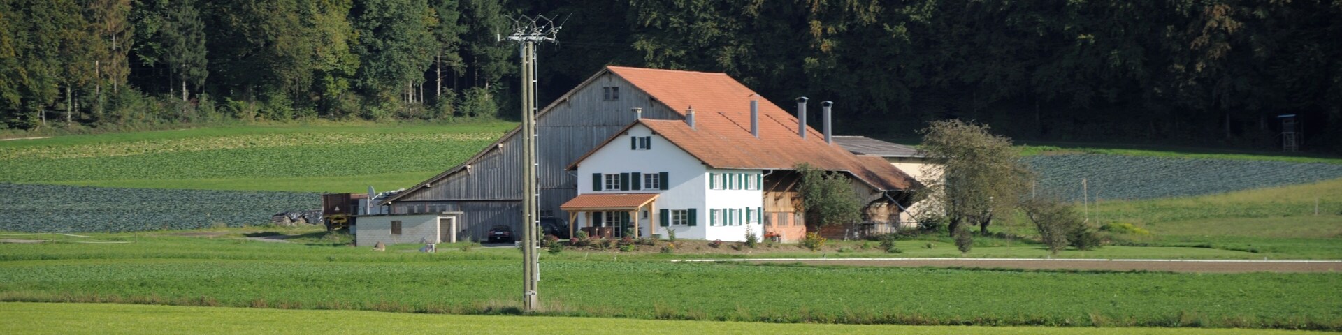 Switzerland, Canton of Schaffhausen, views along the museum railway line between Rielasingen (Germany) and Etzwilen (Switzerland)