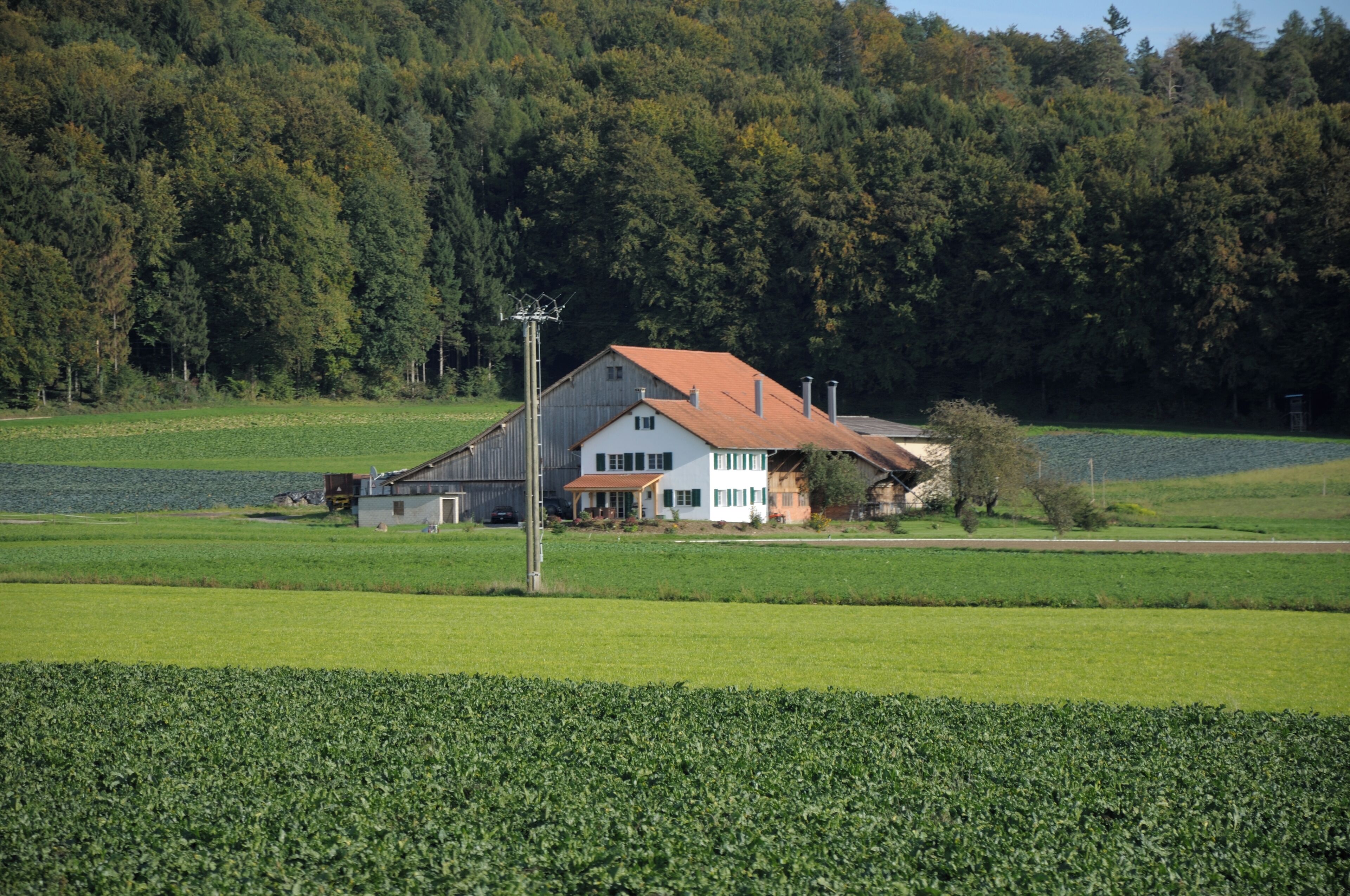A rural landscape with a large house surrounded by green fields and a forested hill in the background.