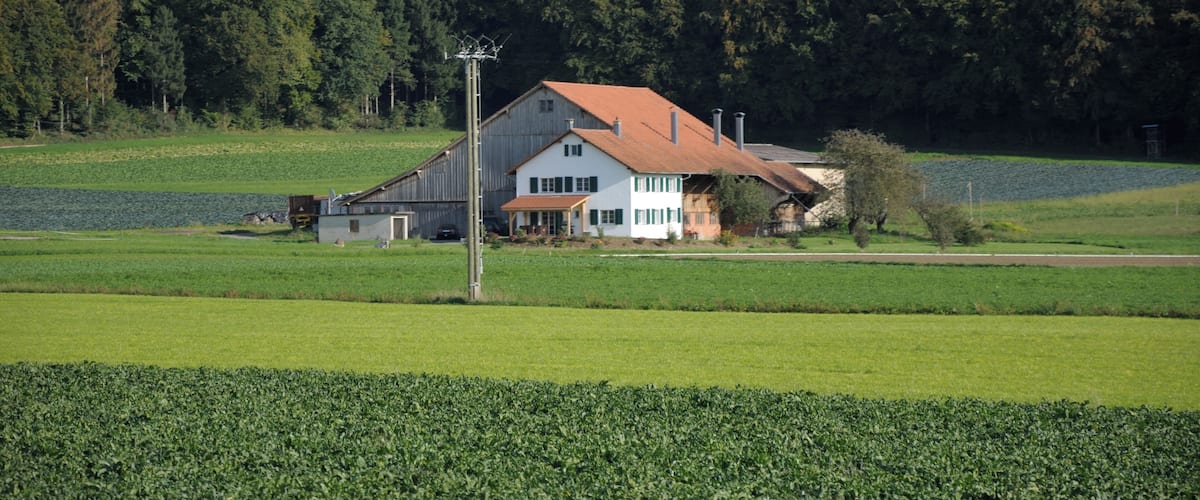 A rural landscape with a large house surrounded by green fields and a forested hill in the background.