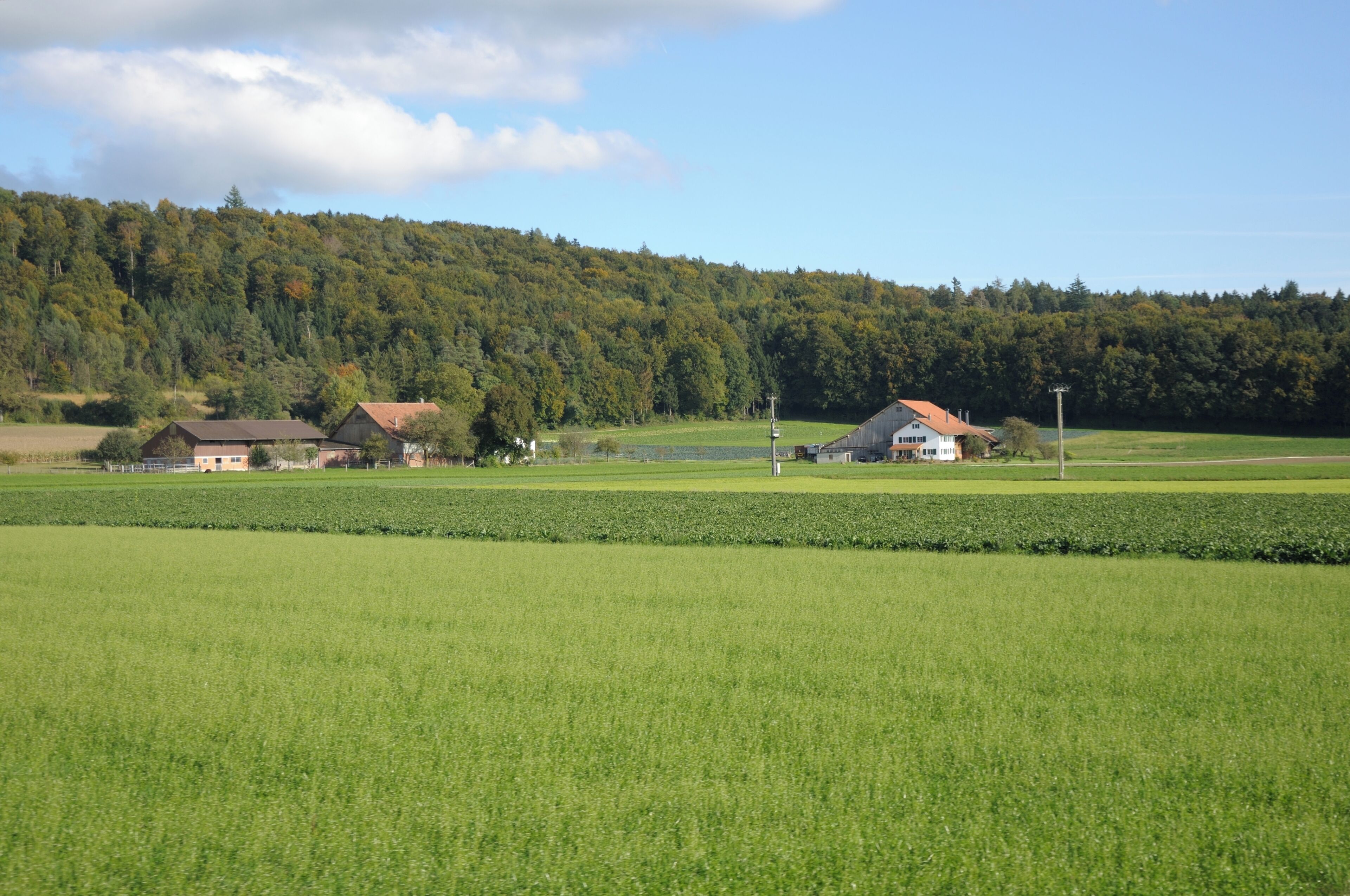 Switzerland, Canton of Schaffhausen, views along the museum railway line between Rielasingen (Germany) and Etzwilen (Switzerland)