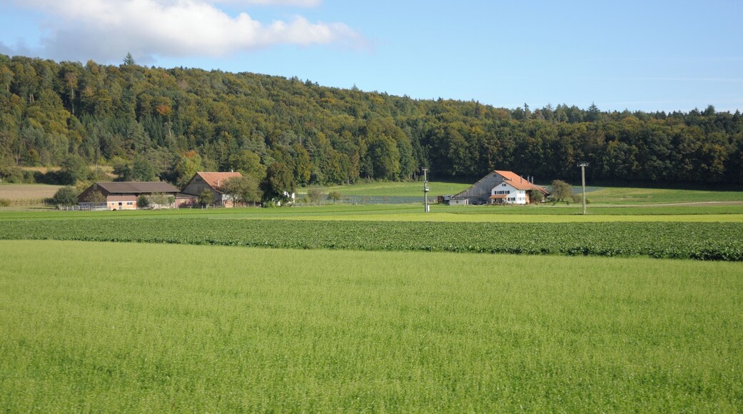 Switzerland, Canton of Schaffhausen, views along the museum railway line between Rielasingen (Germany) and Etzwilen (Switzerland)