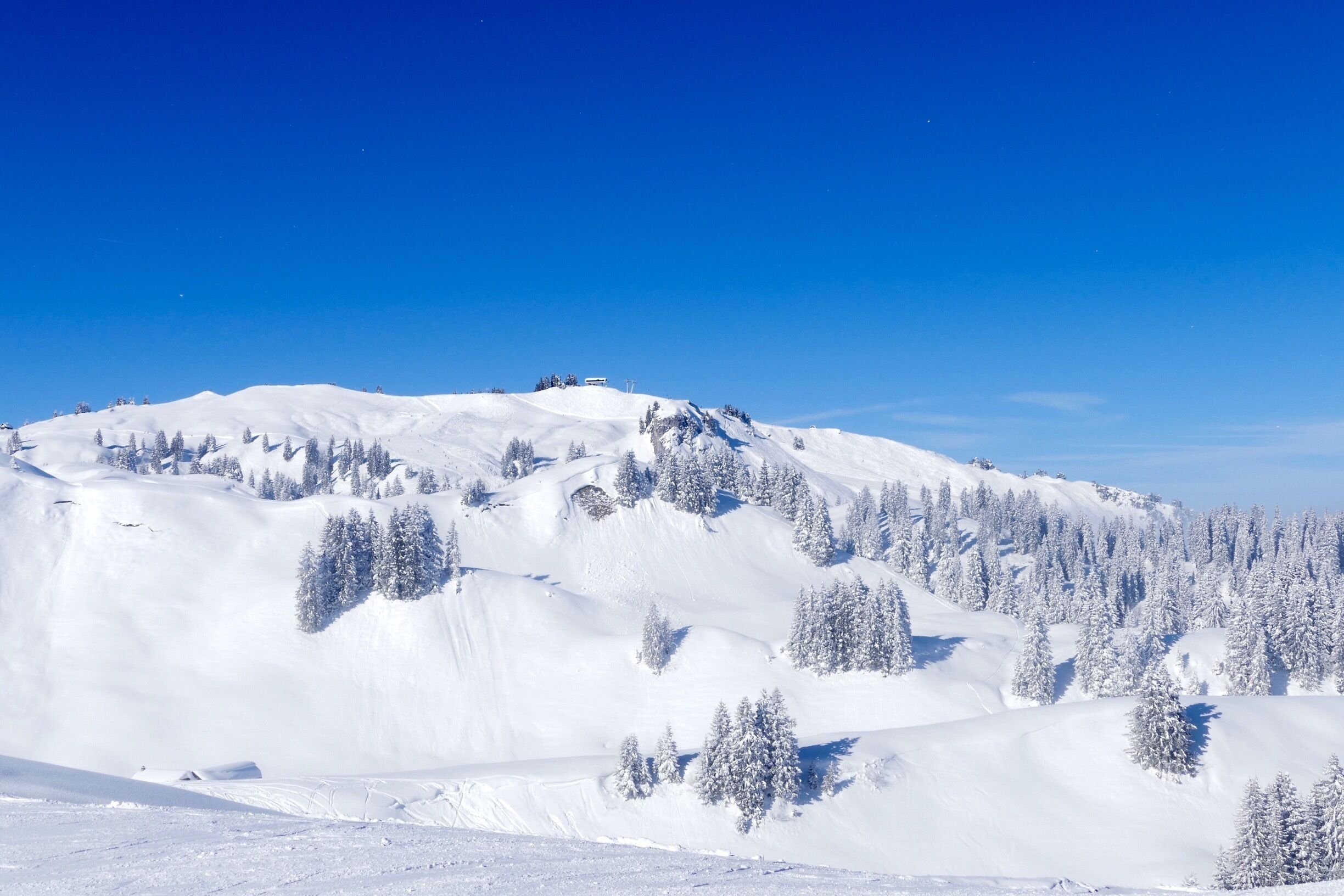 A snow-covered mountain with trees and a clear blue sky.